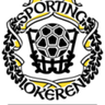 Lokeren-Temse U21 logo