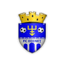 Edineţ logo
