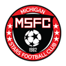 Michigan Stars logo