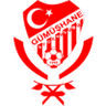 Gümüşhanespor logo