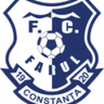 FCV Farul U19 logo