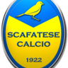 Scafatese logo