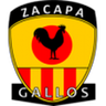 Zacapa Tellioz logo