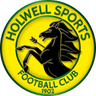 Holwell Sports logo