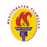 Westchester Flames logo