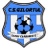 Gilortul logo