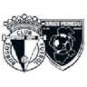 Burgos Promesas logo