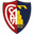 Montevarchi Calcio