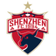 Shenzhen Ruby FC