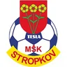 MSK Tesla Stropkov logo