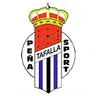 Peña Sport logo