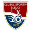 Blejoi logo